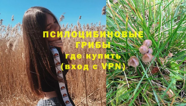 первитин Абинск