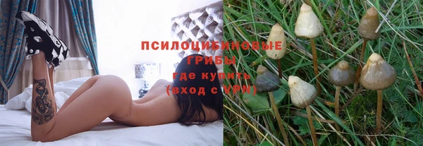 первитин Абинск