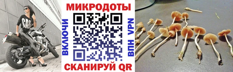 Псилоцибиновые грибы GOLDEN TEACHER Шарья